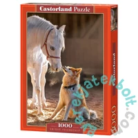 Castorland 1000 db-os puzzle - Unique Friendship (C-105076)
