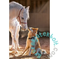 Castorland 1000 db-os puzzle - Unique Friendship (C-105076)