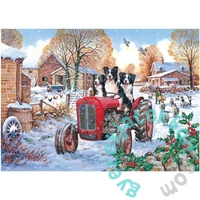 House of Puzzles 1000 db-os puzzle - Beau