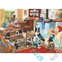 House of Puzzles 1000 db-os puzzle - Collie Wobbles (HP0561)