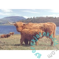 House of Puzzles 1000 db-os puzzle - Highlanders (HP0004)