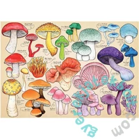 House of Puzzles 1000 db-os puzzle - Mushroom Mania (HP0710)