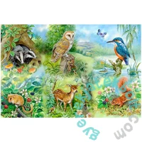 House of Puzzles 250 db-os XXL puzzle - Nature Study (HP0144)
