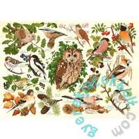 House of Puzzles 500 db-os XXL puzzle - Woodland Birds (HP0626)