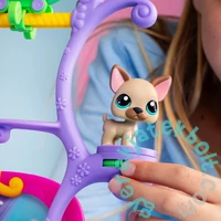 Littlest Pet Shop - Got Talent 2-es készlet - 66-67 (LPS00558)