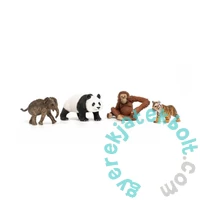 Schleich 42736 Ázsia induló készlet - Wild Life (SLH42736)