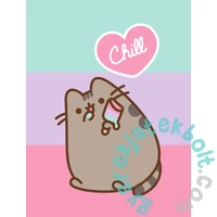 Pusheen cicás polár takaró - Chill (PUS-2573FB)