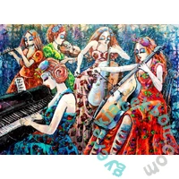 Anatolian 2 x 500 db-os puzzle - Colorful Notes (3612)