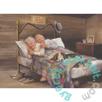 Anatolian 1000 db-os puzzle - No Place Like Home (3124)