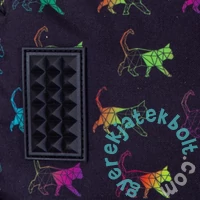 Rainbow Kitty cicás ergonomikus iskolatáska, hátizsák - 3 rekeszes - Astrabag