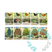 Az erdő társasjáték (ASM34683)