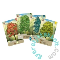 Az erdő társasjáték (ASM34683)