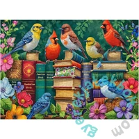 Bboldin 1000 db-os puzzle - Colorful Birds Bookstore (PT-1234)