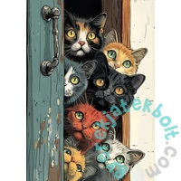 Bboldin 1000 db-os puzzle - Curious Cat (PT-50)