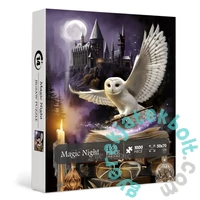 Bboldin 1000 db-os puzzle - Magic Night (PT-139)