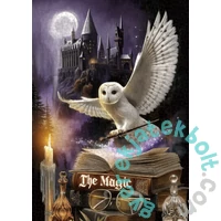 Bboldin 1000 db-os puzzle - Magic Night (PT-139)