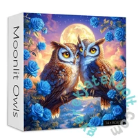 Bboldin 1000 db-os puzzle - Moonlit Owls (PT-161)
