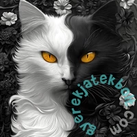 Bboldin 1000 db-os puzzle - Yin Yang Cat (PT-1092)