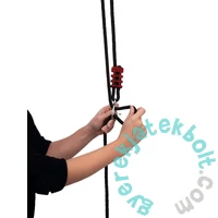 Big Laphinta - Activity Swing