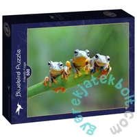 Bluebird 500 db-os puzzle - Friendly Frogs (90128)