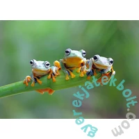 Bluebird 500 db-os puzzle - Friendly Frogs (90128)