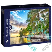 Bluebird 500 db-os puzzle - Guadeloupe, Anse Champagne (90414)