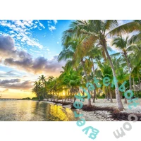 Bluebird 500 db-os puzzle - Guadeloupe, Anse Champagne (90414)