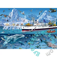 Bluebird 1500 db-os puzzle - Francois Ruyer - Arctic - Bluebird Boat (90038)