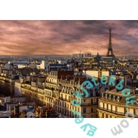 Bluebird 1000 db-os puzzle - Paris, France (90139)