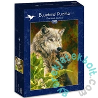 Bluebird 1000 db-os puzzle - Precious Moment (70086)