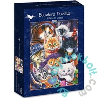 Bluebird 1000 db-os puzzle - Kittens In Closet (70087)