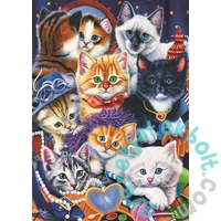 Bluebird 1000 db-os puzzle - Kittens In Closet (70087)