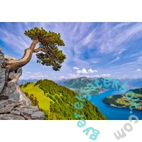 Castorland 1000 db-os puzzle - View of the Lake of Uri - Switzerland (C-105311)