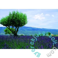 Bluebird 1000 db-os puzzle - Mont Ventoux (90434)