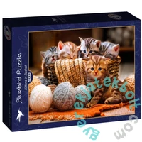 Bluebird 90264 - Kittens in Basket - 1000 db-os puzzle