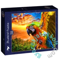 Bluebird 90263 - Parrot - 1000 db-os puzzle