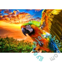 Bluebird 90263 - Parrot - 1000 db-os puzzle