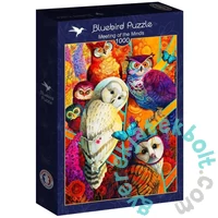Bluebird 1000 db-os puzzle - Meeting of the Minds (90231)