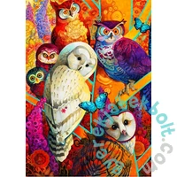 Bluebird 1000 db-os puzzle - Meeting of the Minds (90231)