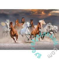 Bluebird 1000 db-os puzzle - The Horse Race (90283)