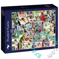 Bluebird 1500 db-os puzzle - Cats (90309)