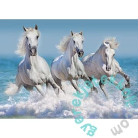 Bluebird 1500 db-os puzzle - Horse Paradise (90284)
