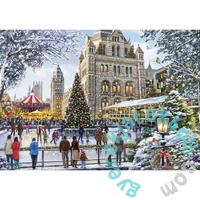 Bluebird 2000 db-os puzzle - Skating Outside Natural History Museum (90527)