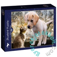 Bluebird 500 db-os puzzle - Kitten and Puppy (90335)