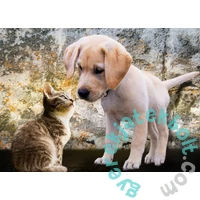 Bluebird 500 db-os puzzle - Kitten and Puppy (90335)