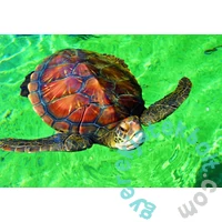 Bluebird 1000 db-os puzzle - La Réunion - Tortue de Mer (90298)