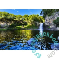 Bluebird 1000 db-os puzzle - Bassin de la Paix