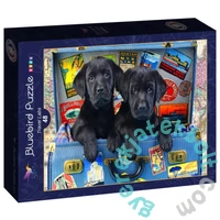Bluebird Kids 48 db-os puzzle - Travel Labs (90053)