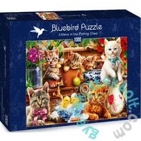 Bluebird 1000 db-os puzzle - Kittens in the Potting Shed (70241)