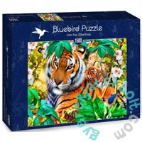 Bluebird 1500 db-os puzzle - Into the Shadows (70289)